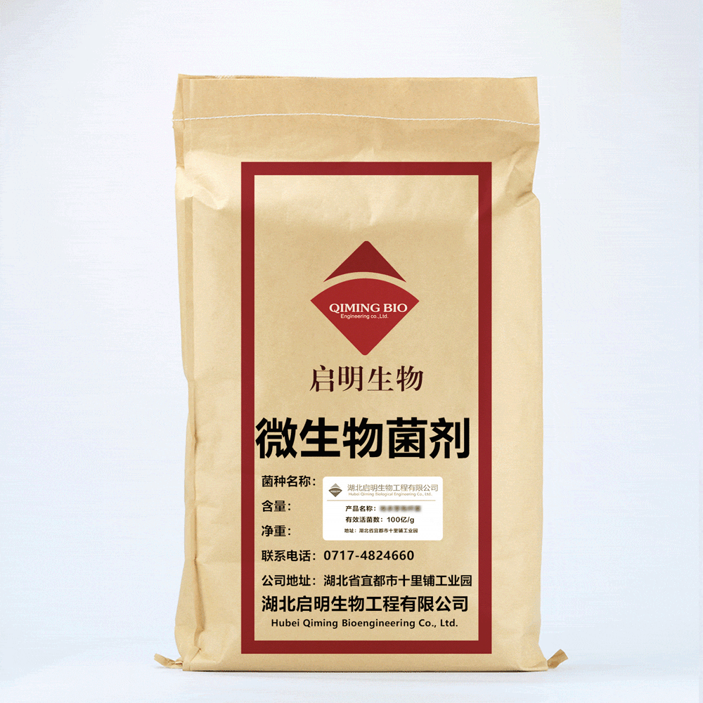 枯草芽孢杆菌