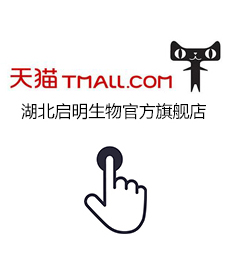 正在开发中请稍后