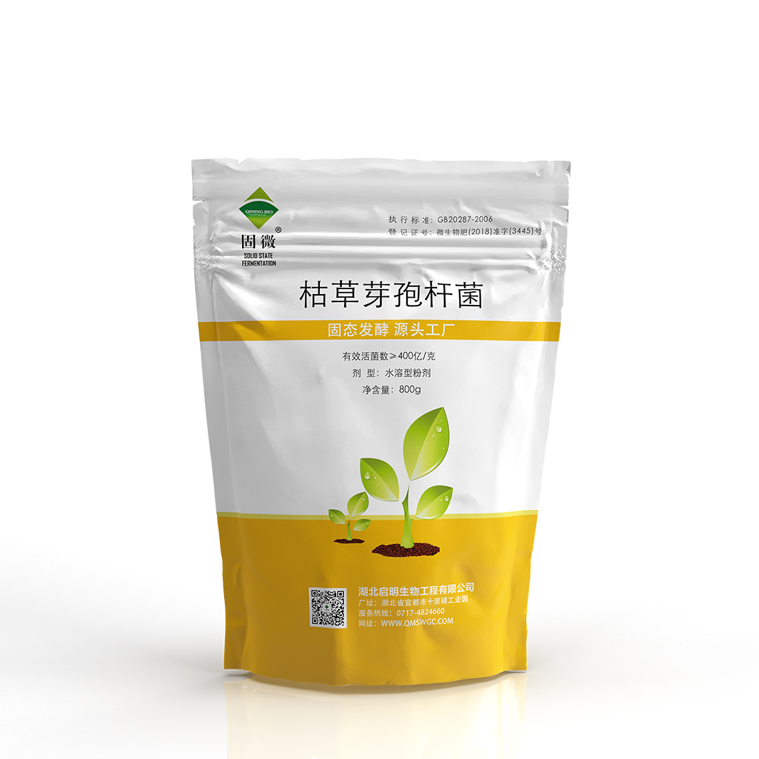 枯草芽孢杆菌